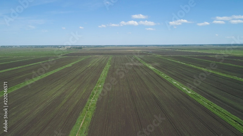 Aerial view of agricultural, cultivated fields. Agricultural landscape rows. Irrigated farmland. Countryside with fields of crops.