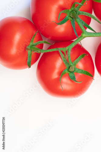 red tomatoes on a green branch