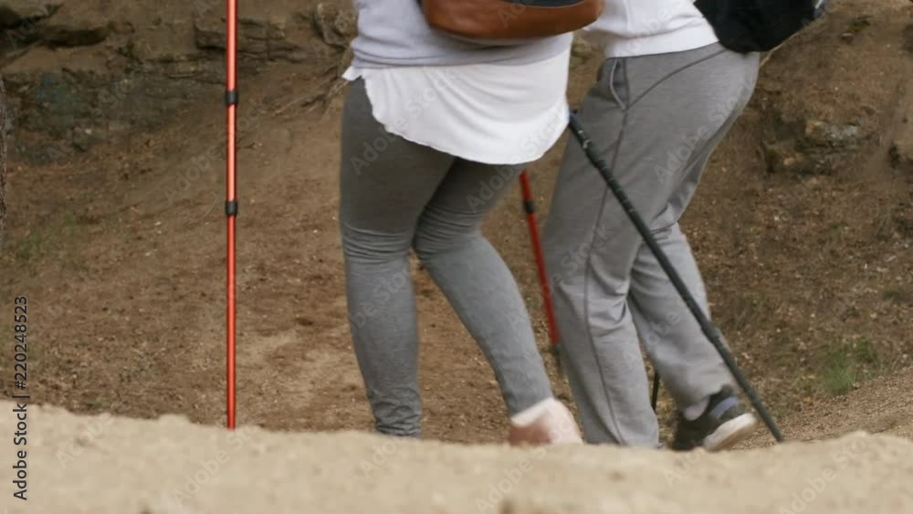 PAN of grey haired elderly man holding hand of senior woman and helping her walk downhill during hike with trekking poles in forest PAN of grey haired elderly man holding hand of senior woman and helping her walk downhill during hike with trekking poles in forest