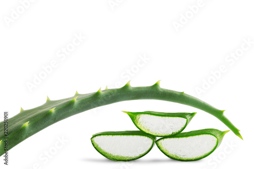 Aloe vera sliced fresh leaf isolated on white background photo