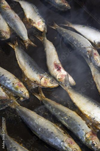 Sardines à la Plancha