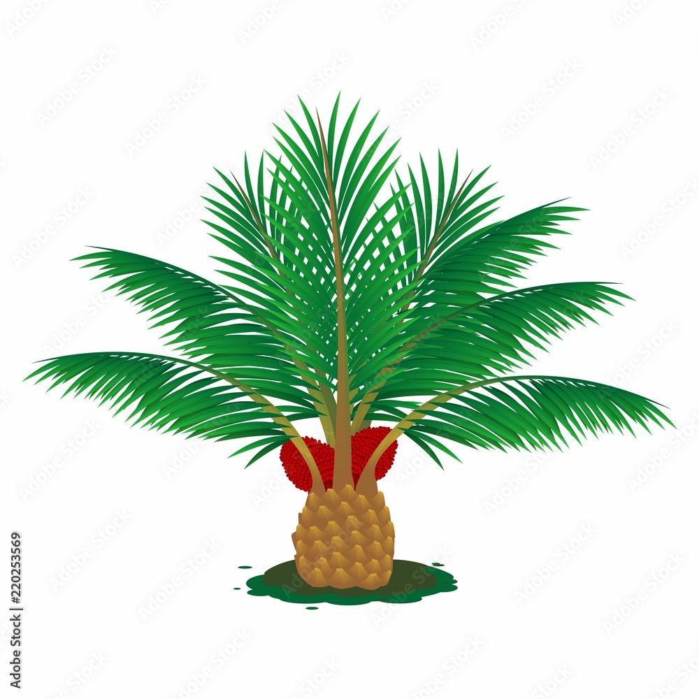 Naklejka premium palm oil tees 