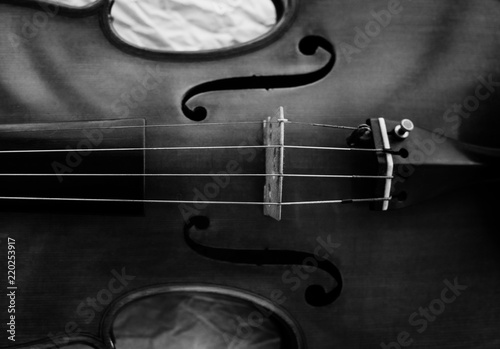 The abstract art design background of wooden violin,show texture and parts of violin.black and white tone,vintage and art style