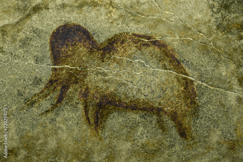 An image of a mammoth on a cave wall made by an ancient man. ancient history, archeology.