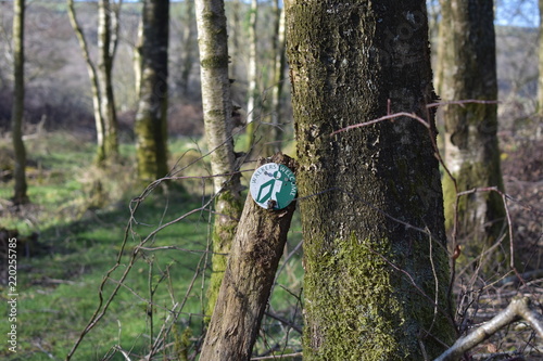 'Walkers Welcome' sign propped against a tree