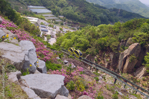 view from above on monorail train South korea