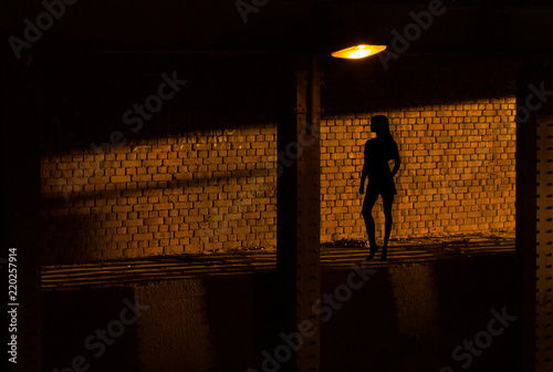 The shadow of a prostitute on the brick wall.