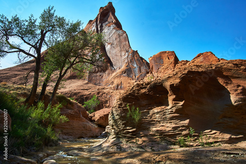 Towering Triangle Rock Formation in Coyote Gulch, Escalante National Monument Utah photo