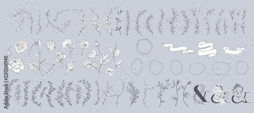 Hand drawn flowers, leaves, foliage, roses, frames.