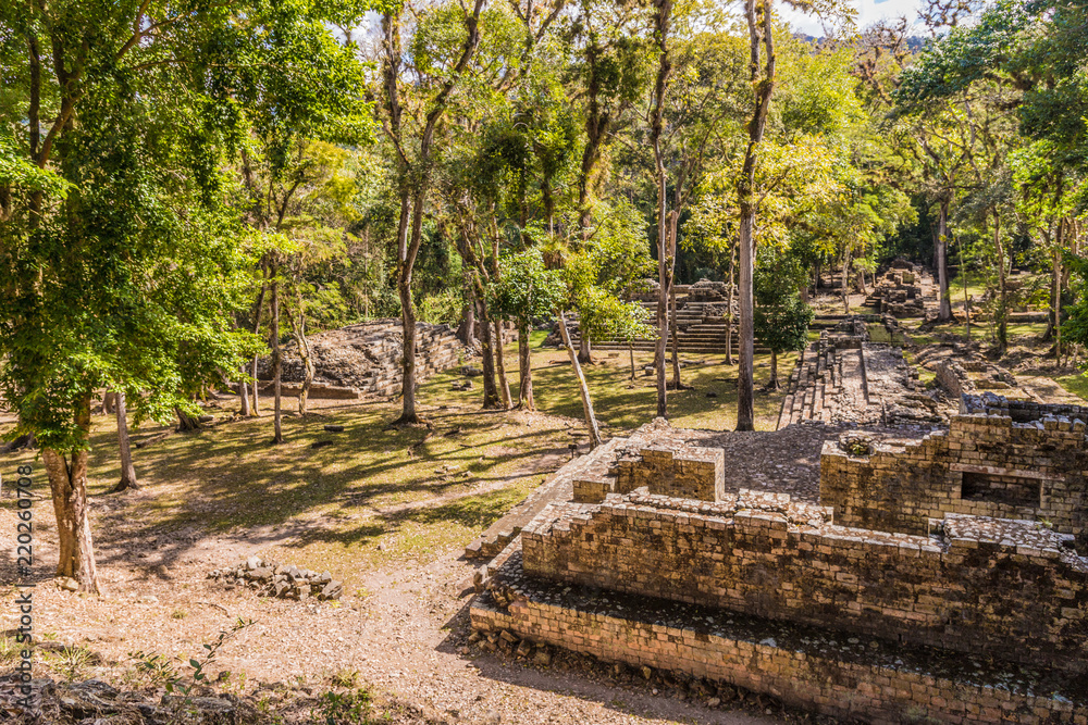 A typical view at Copan Ruins in Honduras.