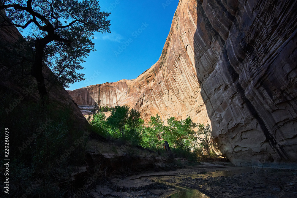 Towering, Canyon Walls in Coyote Gulch, Escalante and Glen Canyon