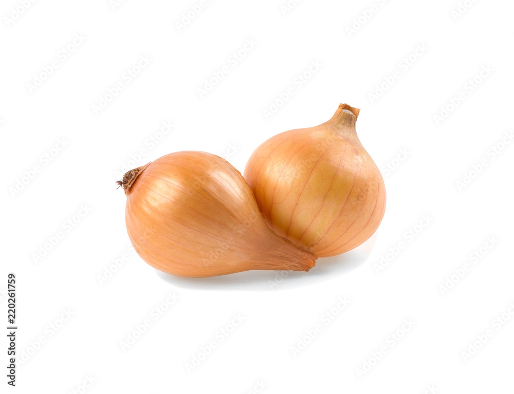 Fototapeta premium onion vegetable isolated on white background