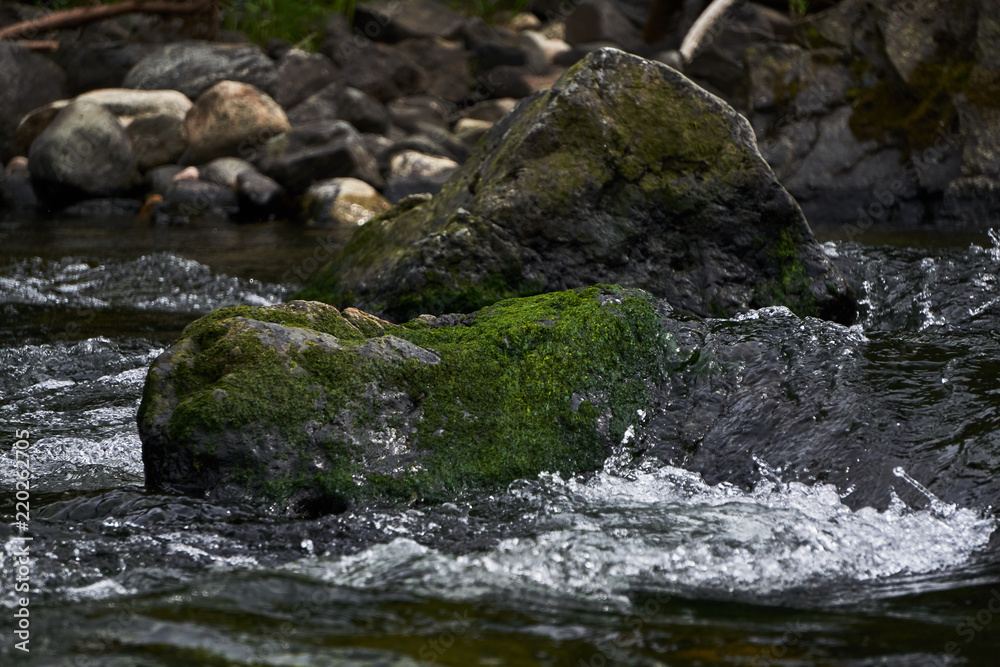 Mossy Rocks in a clear Rocky Mountain Stream Mossy Rocks in a clear Rocky Mountain Stream