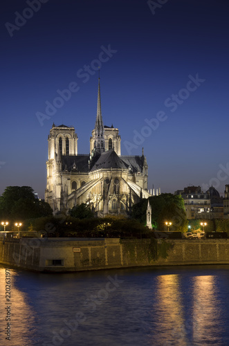 Cathedral Notre Dame in Paris at night, vertical