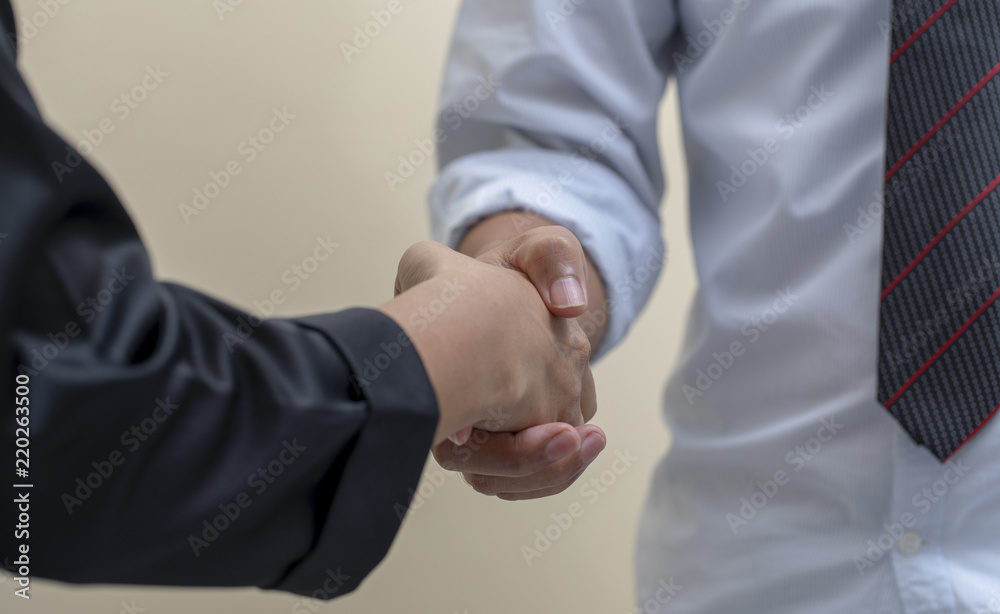 Businessman shaking hands ech other, business deal concept.