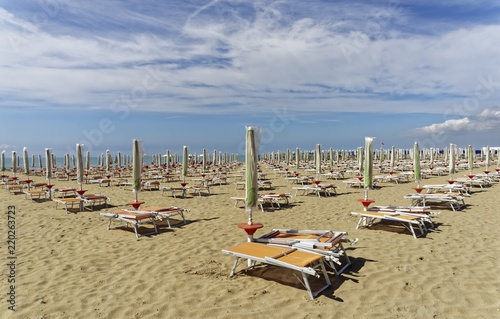 Beach Umbrellas photo