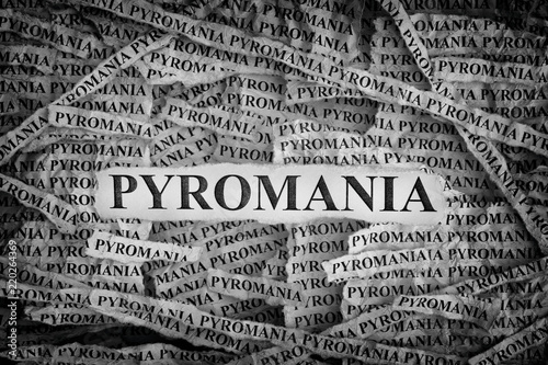 Bilde på lerret Torn pieces of paper with the words Pyromania