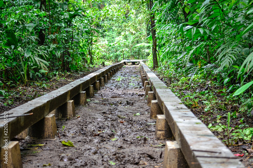 construction of the road in the jungle © paymphoto