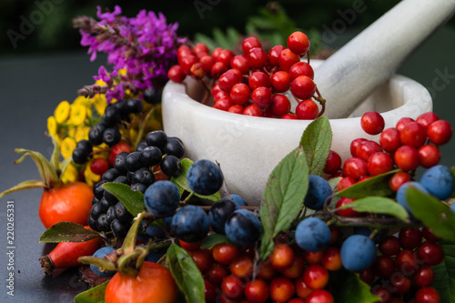 verschiedene Beeren photo