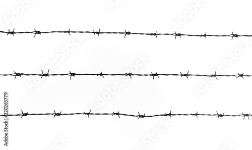 Fotografie silhouette of the barbed wire on white background