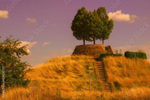 Obraz Cicha, spokojna część parku publicznego w niemieckim mieście