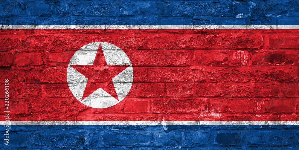 Flag of North Korea over an old brick wall background, surface