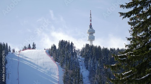 Pamporovo Tv Tower and Ski piste. Winter ski resort in heavy clouds. Smolyan Town, Bulgaria. Macedonian pine tree (Pinus peuce) on the foreground. Up angle static 4K shot photo