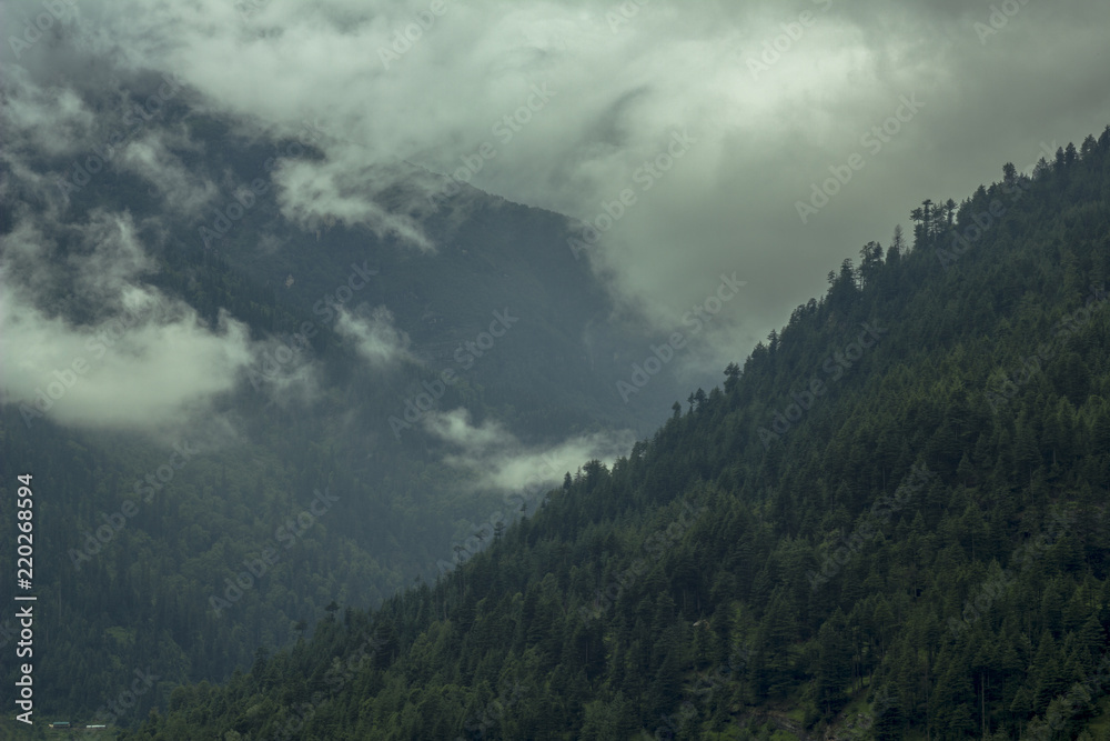Fototapeta premium fog and clouds in the mountain valley