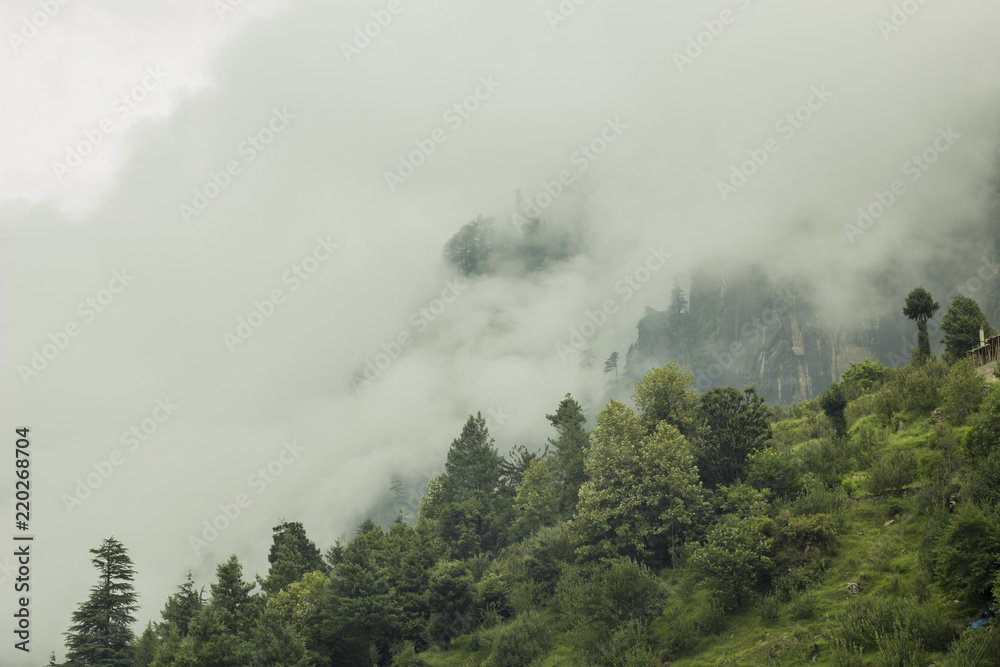 fog in the green stone hills