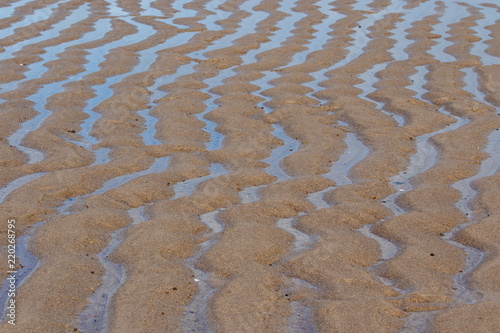 Sand rippled textured pattern created by low tide. Abstract background