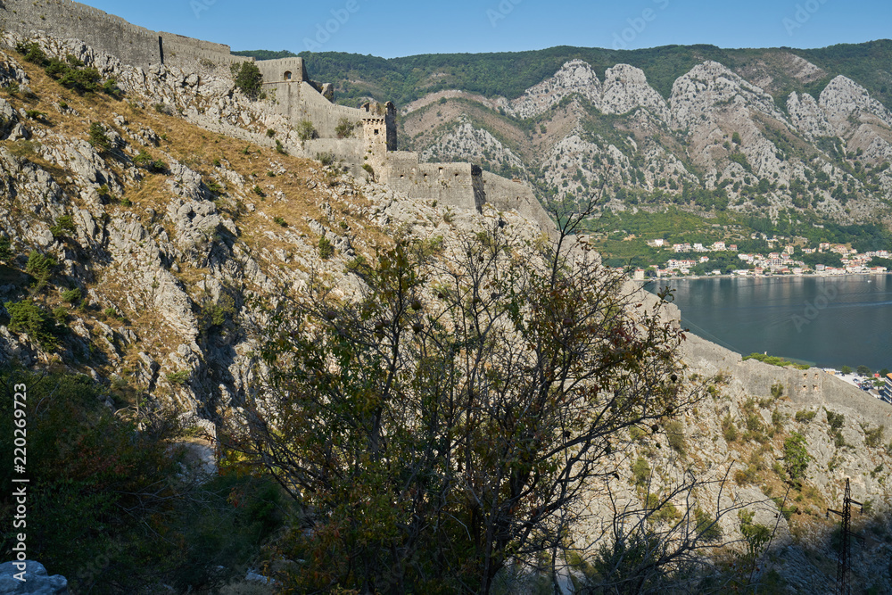 Burgruine über Kotor