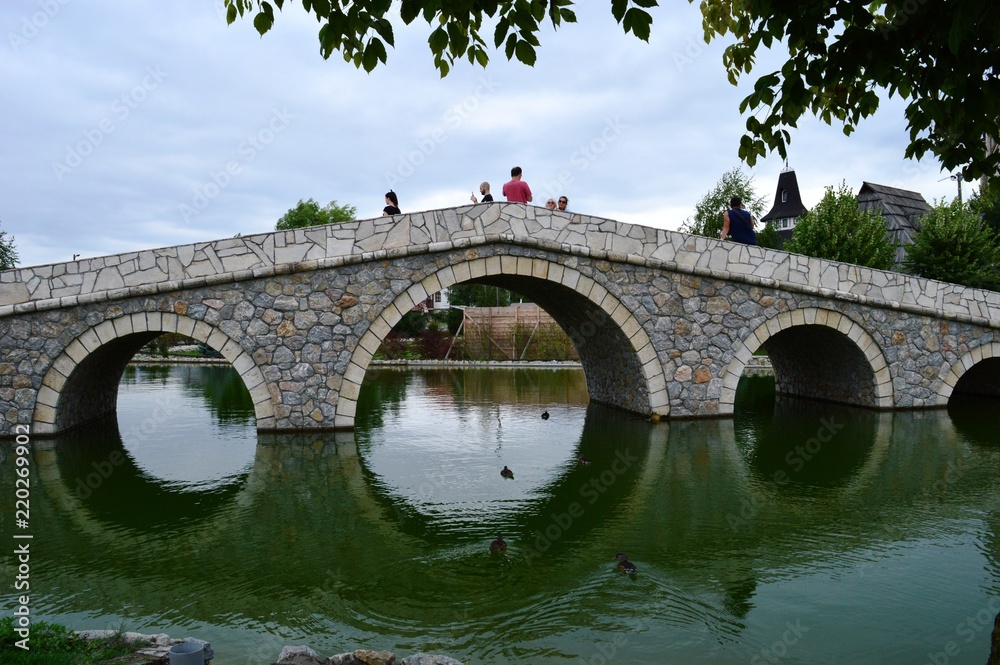 Fototapeta premium bridge on the lake