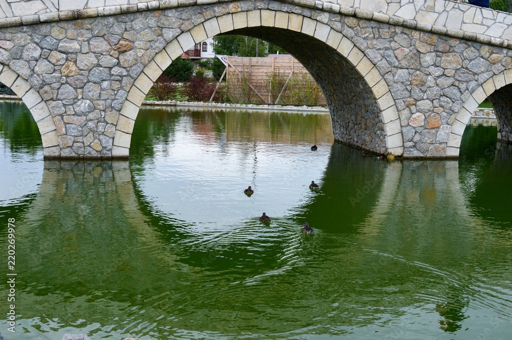 bridge on the lake
