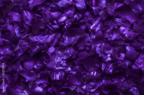 Onion husk background.