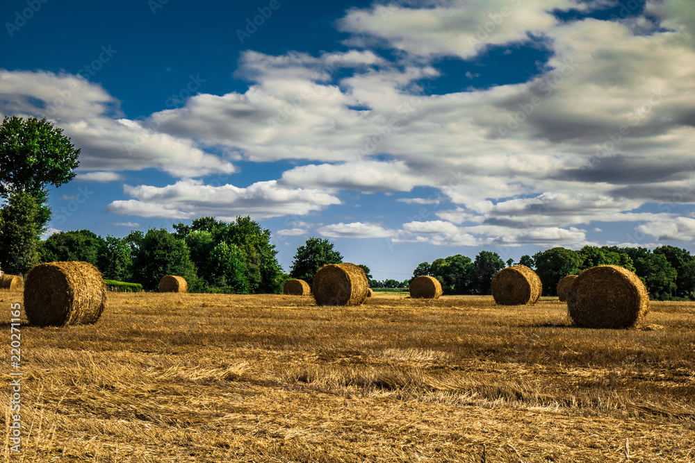 Summer haystack