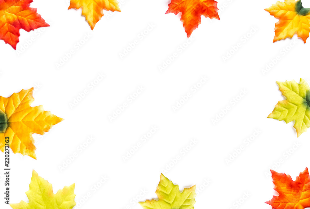 Autumn leaves on white