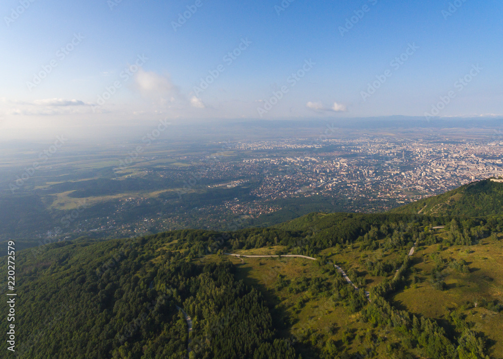 Obraz premium Sunset Forest