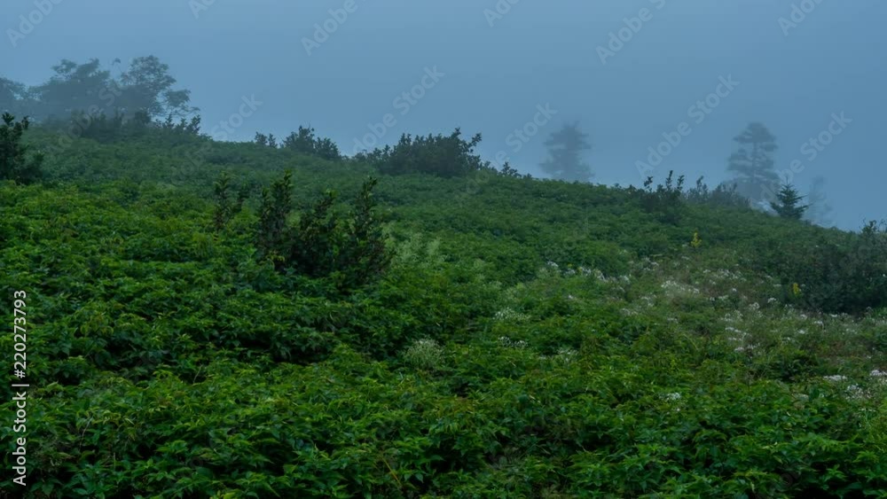 Grassy Ridge Fog Over green slope Grassy Ridge Fog Over green slope