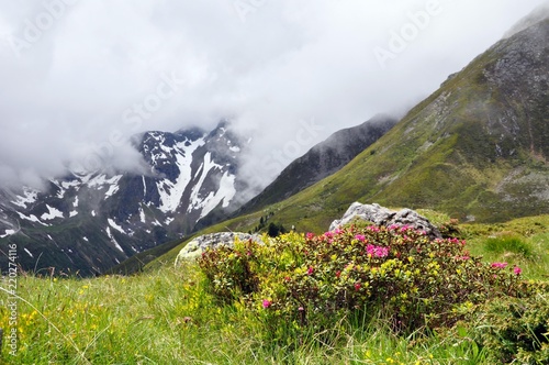 Unterwegs im Langetal photo