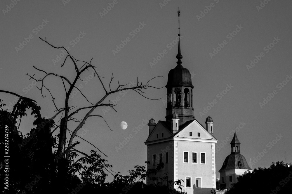 Dark roof of the castle - 
