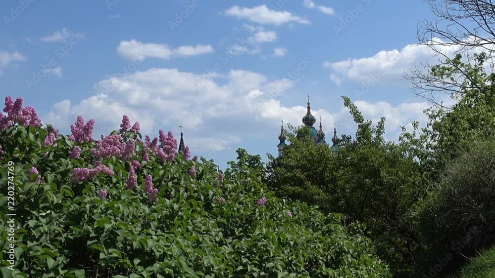 A view from the mountain to the dome of St. Andrew's Church in Kiev and a blossoming lilac. view from Castle Mountain A view from the mountain to the dome of St. Andrew's Church in Kiev and a blossoming lilac. view from Castle Mountain