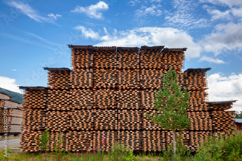 Air-drying timber  stacks - wood seasoning in lumber industry © Dmitry Naumov