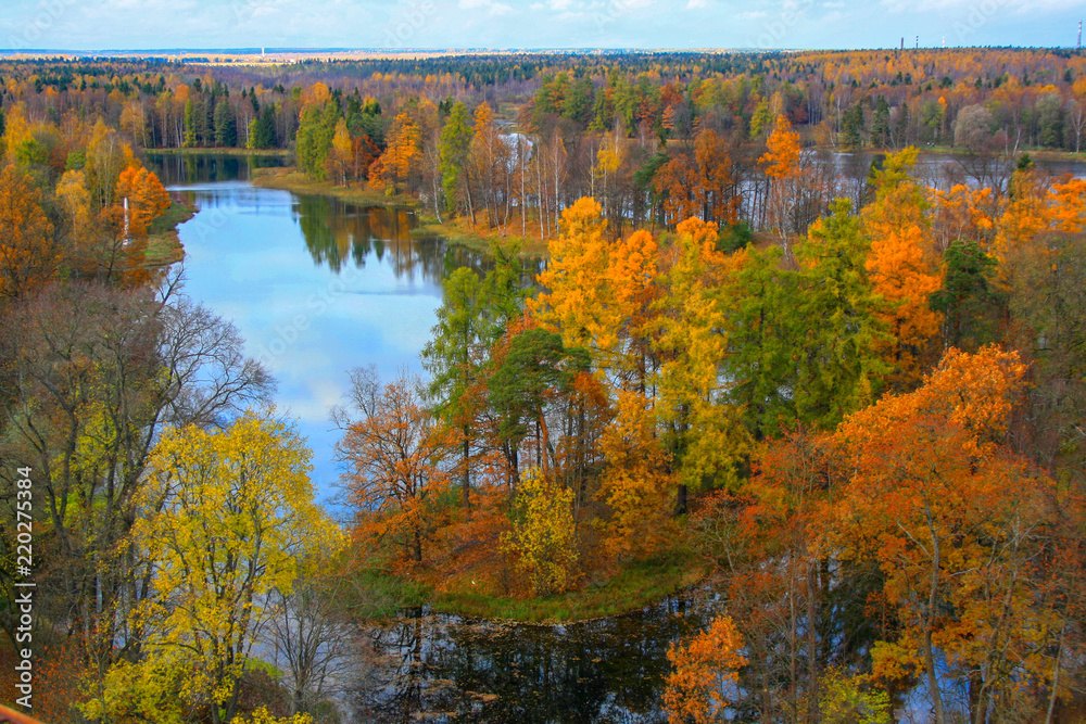 Fototapeta premium autumn