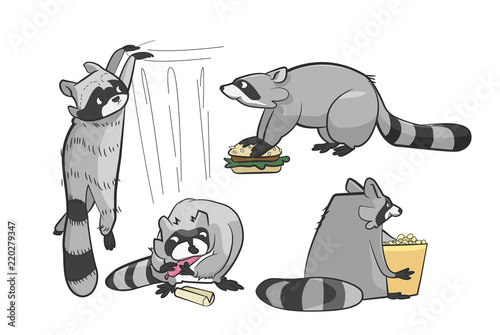 funny cartoon raccoons causing mischief