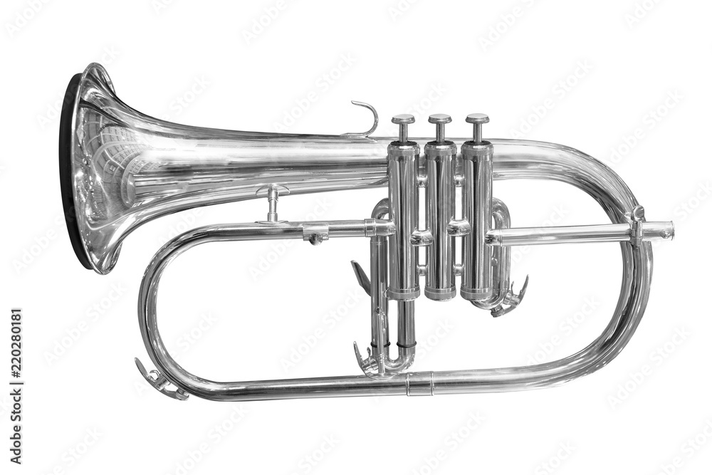 Naklejka premium trumpet