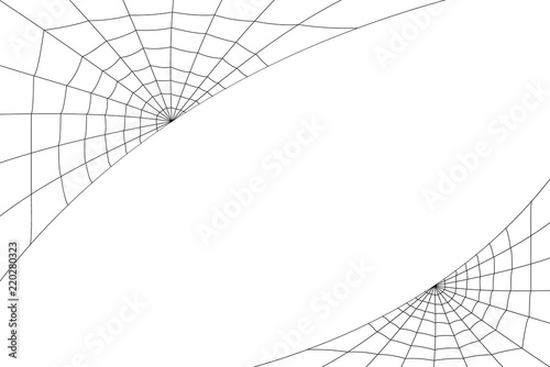 concentric white web on a white background