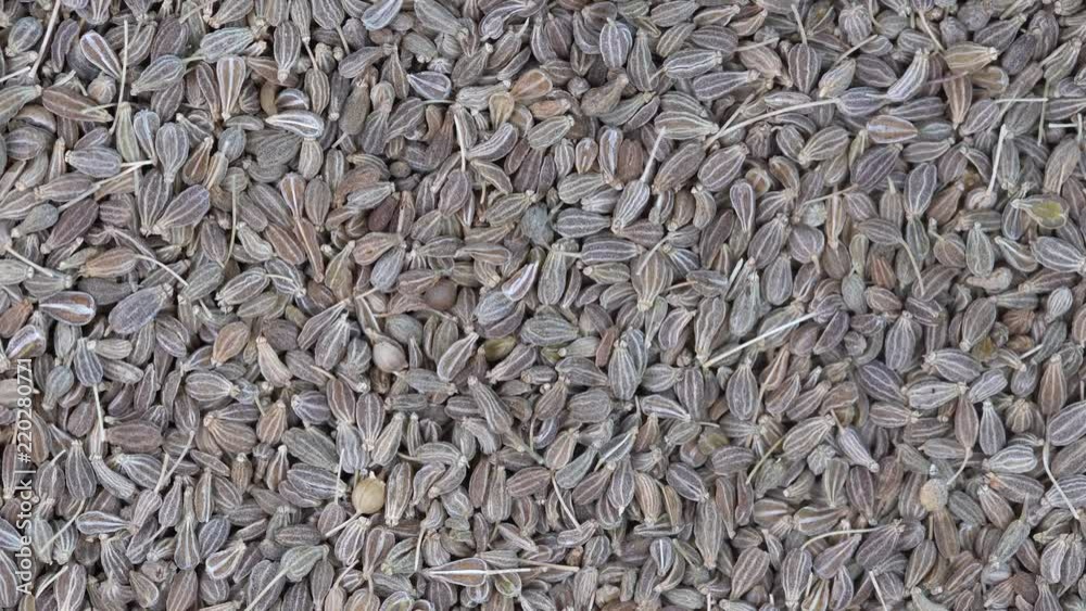 Pile green dry anise seeds background, close up rotation loopable 4k top view. Food  background. Gastronomy concept, organic food. Macro anise seeds