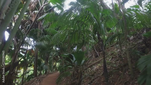 Walking Through National Park Vallee de Mai, Praslin Island, Seychelles 2