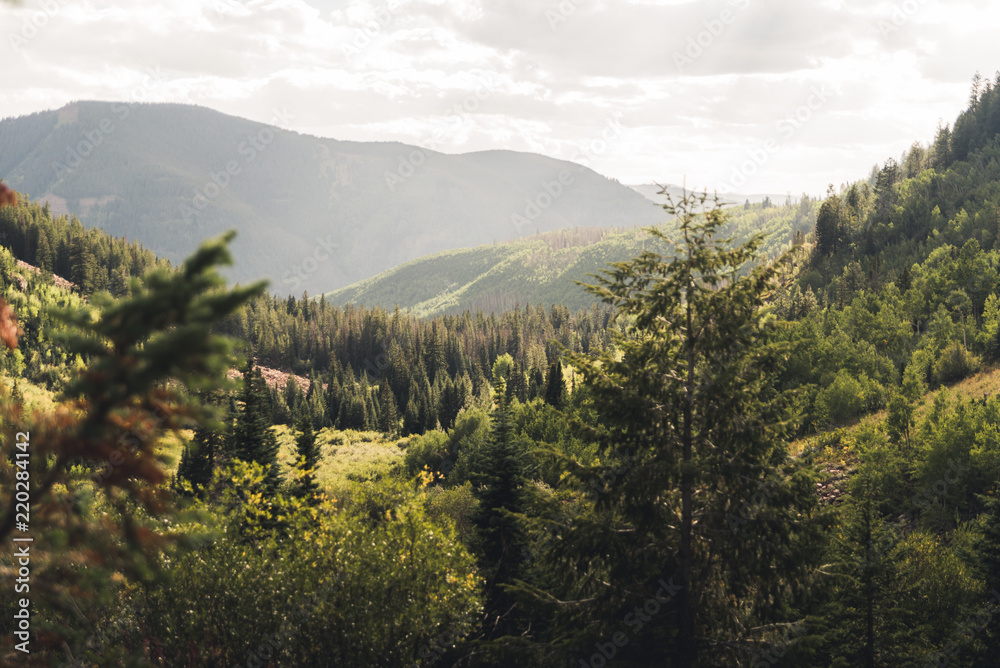 Landscape view with cloud shadows over a forested Valley near Vail, Colorado. 