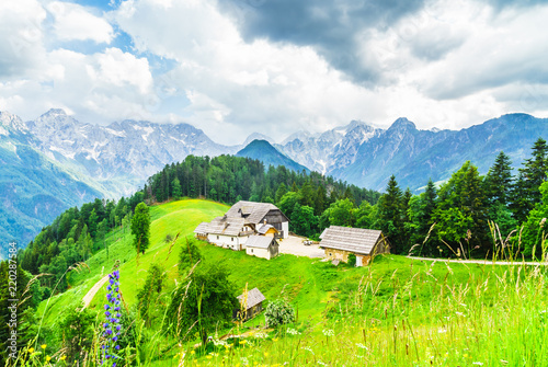 Farm in the slovenian Alps by Logar Valley